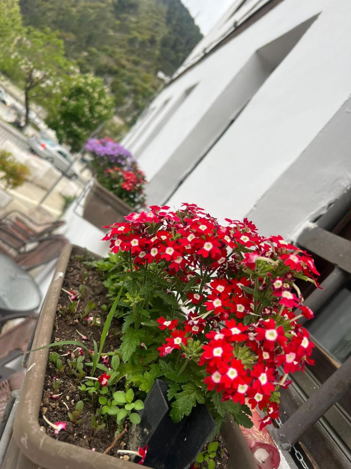 Hotel Omer Берат Номер фото